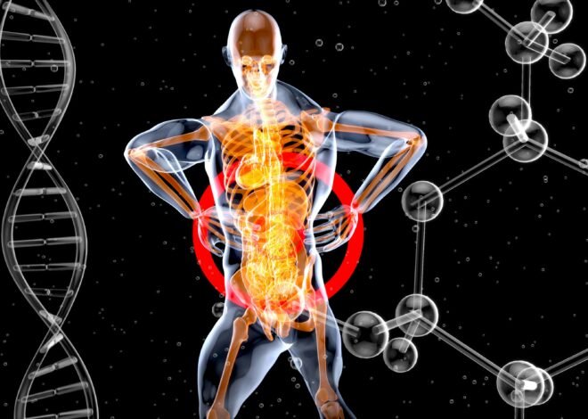 What Is the Autonomic Nervous System?