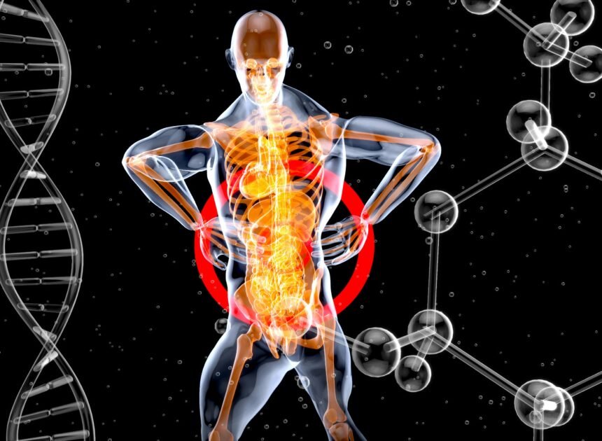 What Is the Autonomic Nervous System?