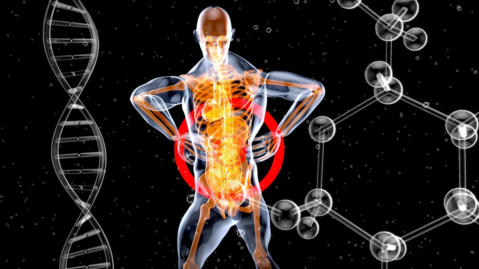 What Is the Autonomic Nervous System?
