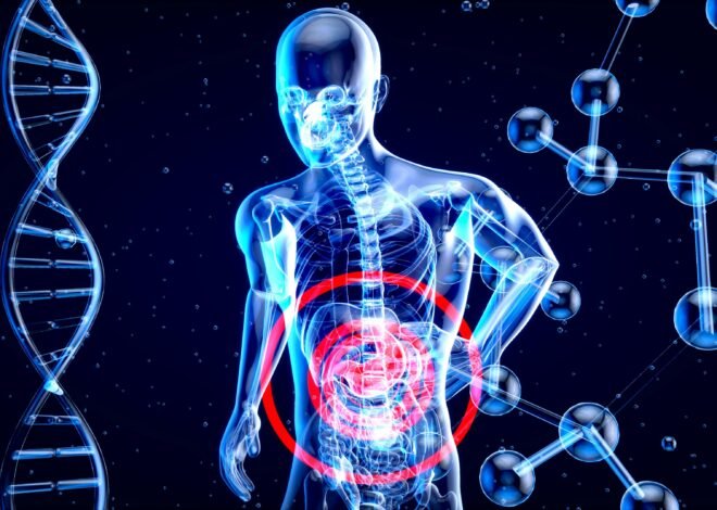What is digital immune system