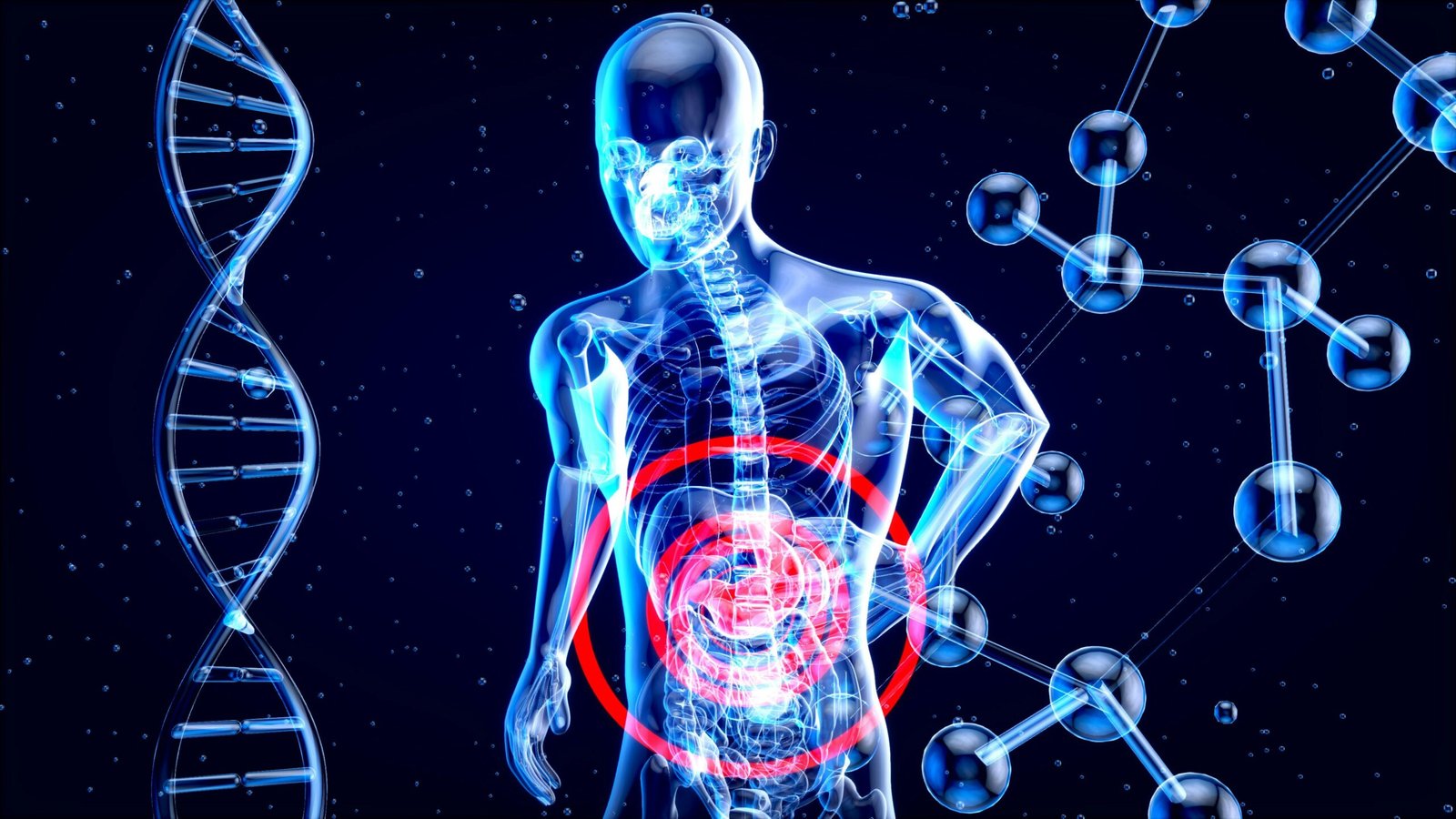 What is digital immune system
